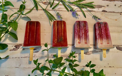 Hibiscus and Mint popsicles – Dairy free and refined sugar free