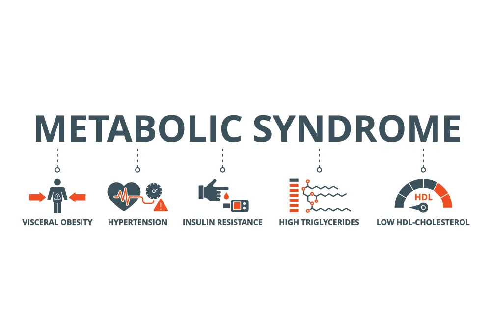 How a Molecule from Gut Bacteria Contributes to Weight Gain, Diabetes, and Cardiovascular Risk Metabolic Endotoxemia: What It Is and Why It Matters
