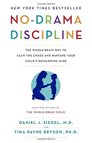 No-Drama Discipline cover
